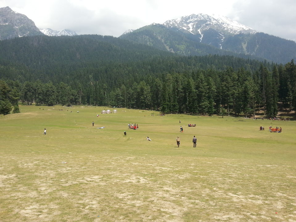 Photo of Mesmerising Kashmir 9/23 by Shashank Vashishth