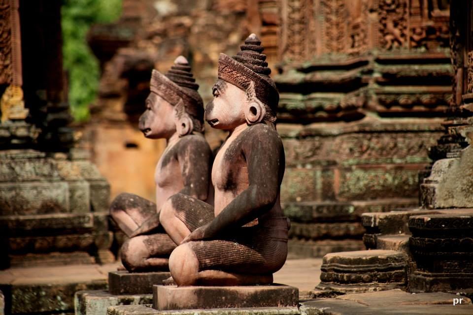 Photo of Cambodia - Temples , forests and introspection 17/20 by Pinaki Ray