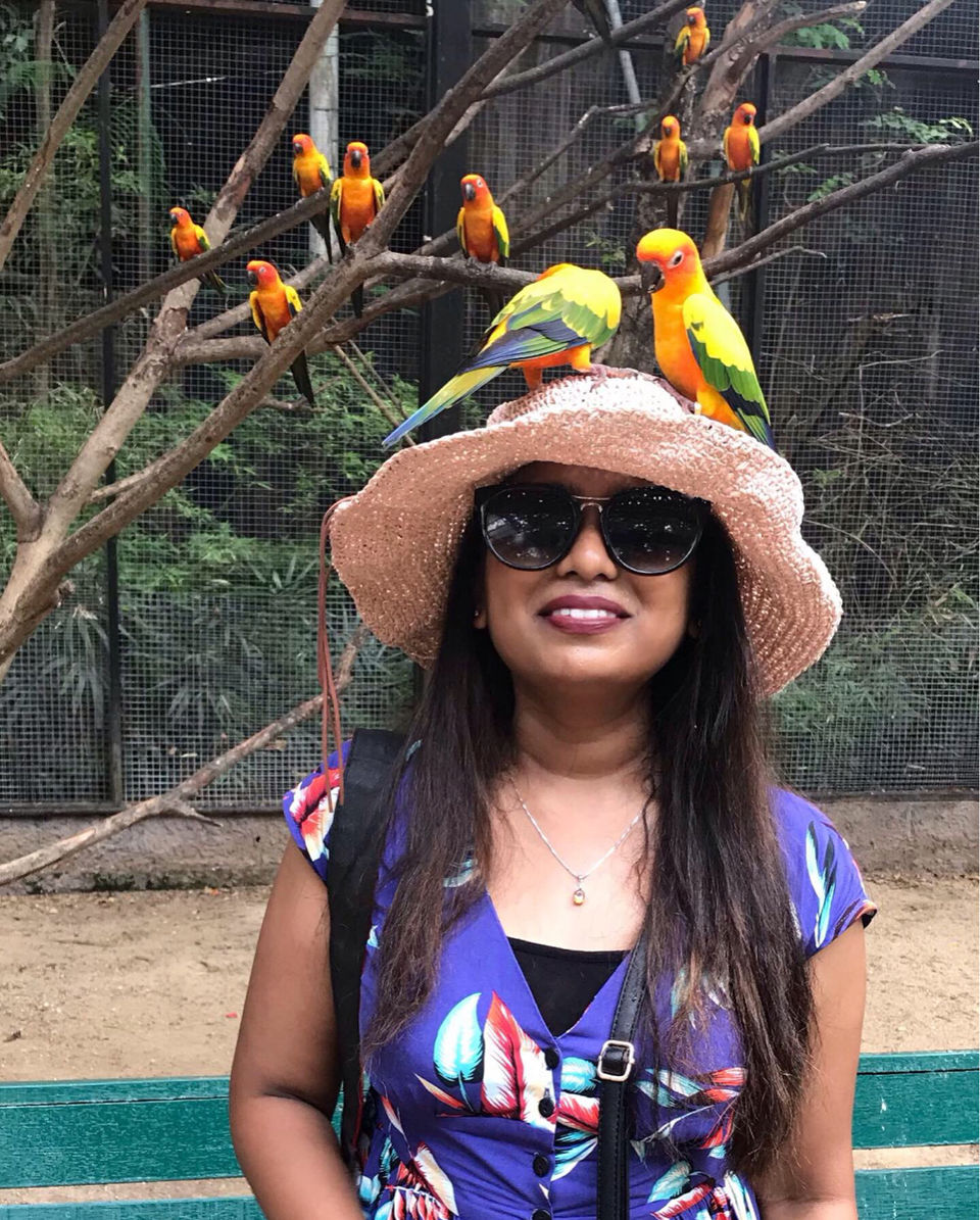 Photo of Safari World, Thanon Panya Intra, Sam Wa Tawan Tok, Khlong Sam Wa, Bangkok, Thailand by Moha