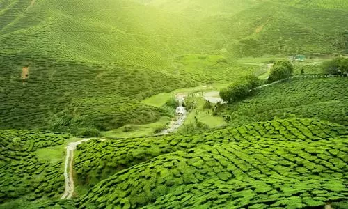 Photo of Darjeeling, West Bengal, India by Travel Tour India