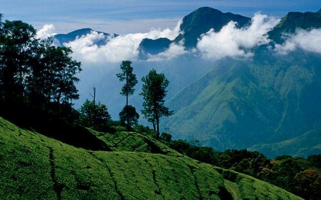 Photo of Top 7 Cheap Family Holidays Destinations in India by Travel Tour India