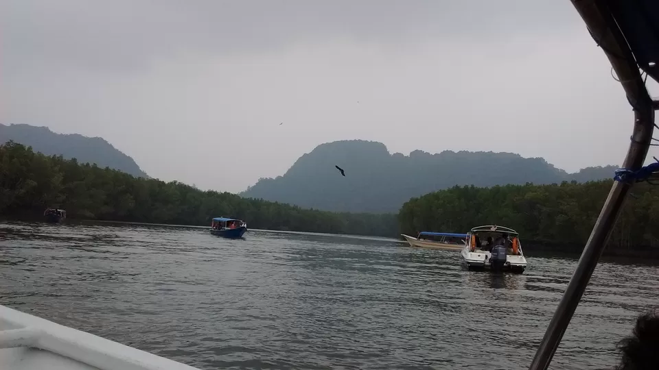 Photo of Langkawi Mangrove Tour, Jalan Penarak, 07000 Langkawi, Kedah, Malaysia by Mohit Agarwal