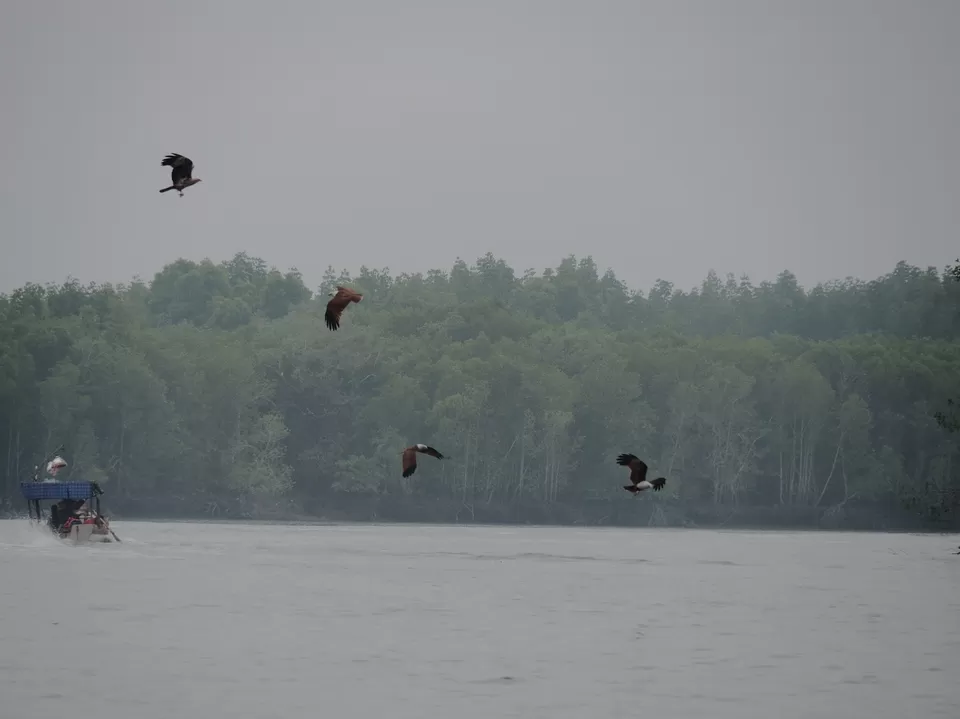 Photo of Kilim Geoforest Park, Level 3 block B Wisma Darul Aman, 05503 Tanjung Rhu, Malaysia by Mohit Agarwal