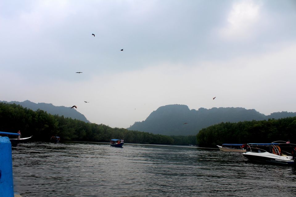 Photo of Langkawi - Get Lost in Nature! 12/74 by Mohit Agarwal
