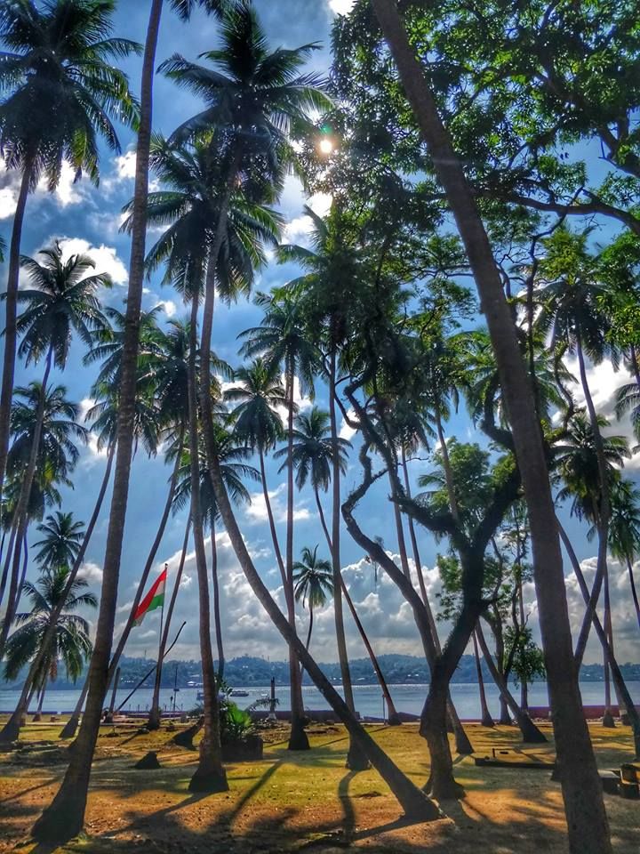 Photo of Andaman- A honeymooner's paradise 4/17 by Ankita Mukherji