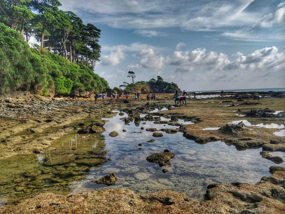 Photo of Andaman- A honeymooner's paradise 13/17 by Ankita Mukherji