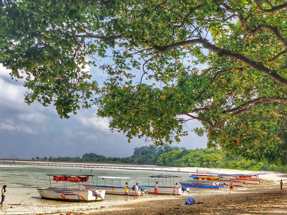Photo of Andaman- A honeymooner's paradise 15/17 by Ankita Mukherji