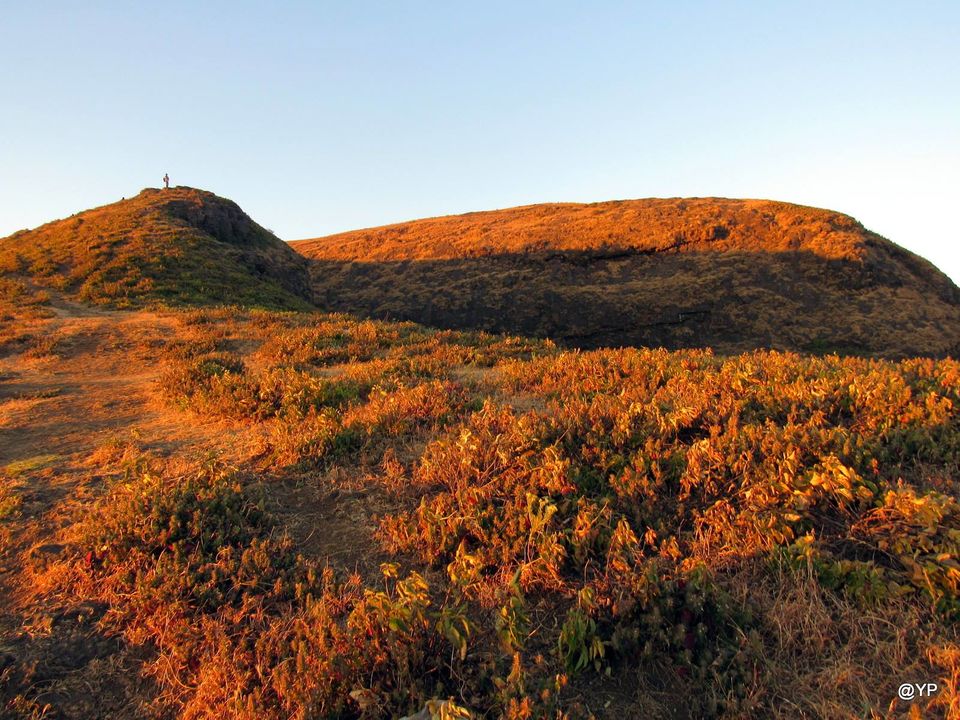 Photo of Try THIS ROUTE to Mount Kalsubai, the highest peak of Maharashtra, if you dare! 7/20 by Arthi