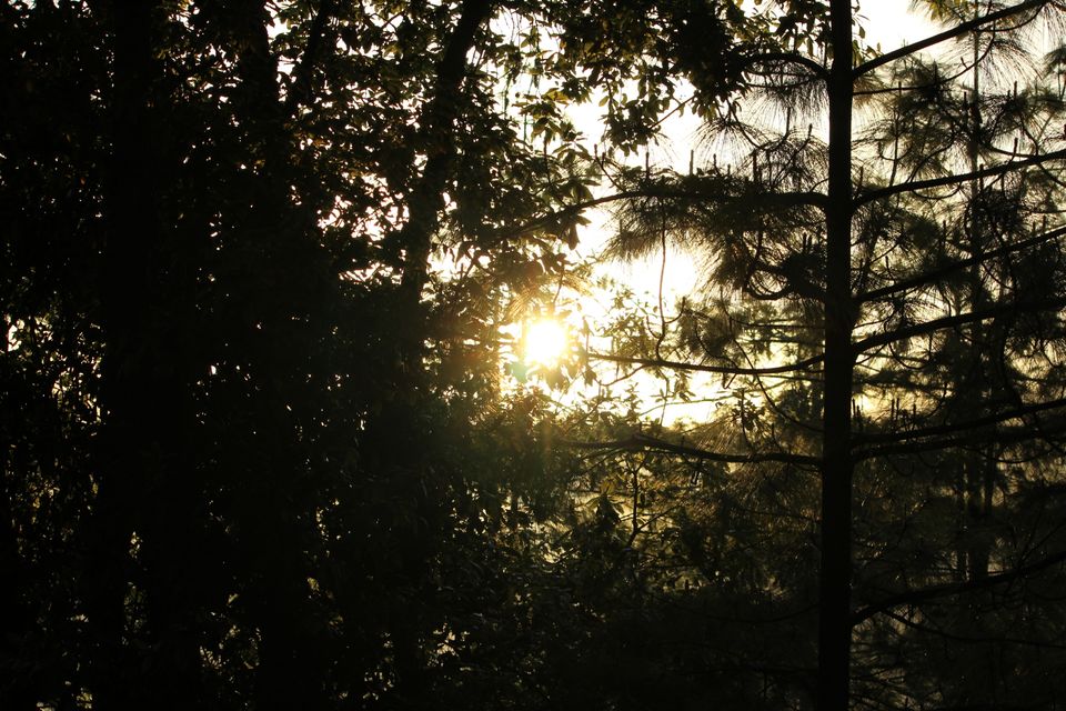 Photo of Underrated places give best memories by Tripatjot Singh