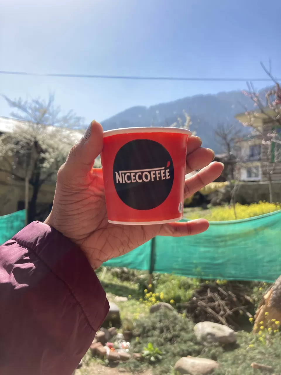 Photo of Southern Souls Café (PURE VEG), Hadimba Temple, Siyal, Manali, Himachal Pradesh, India by Riya Ghosh
