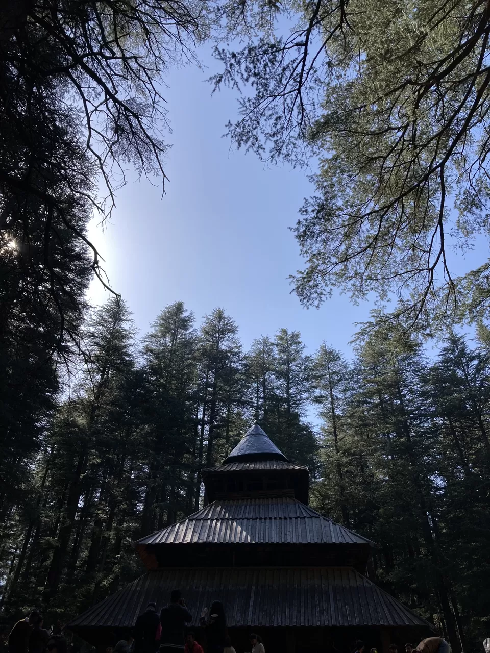 Photo of Hadimba Devi Temple, Hadimba Temple Road, Old Manali, Manali, Himachal Pradesh, India by Riya Ghosh