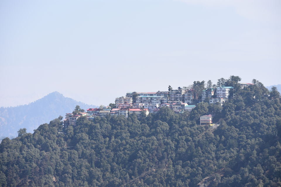 Photo of Shimla-A walk around the Queen of Hills by Riya Ghosh