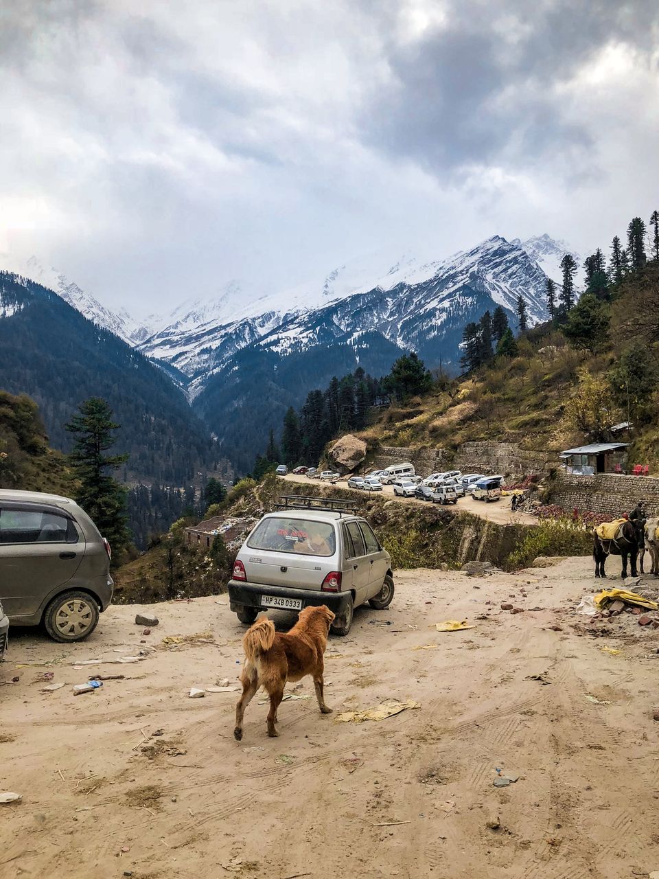 Photo of Tosh, Himachal Pradesh, India by Swati Chaturvedi