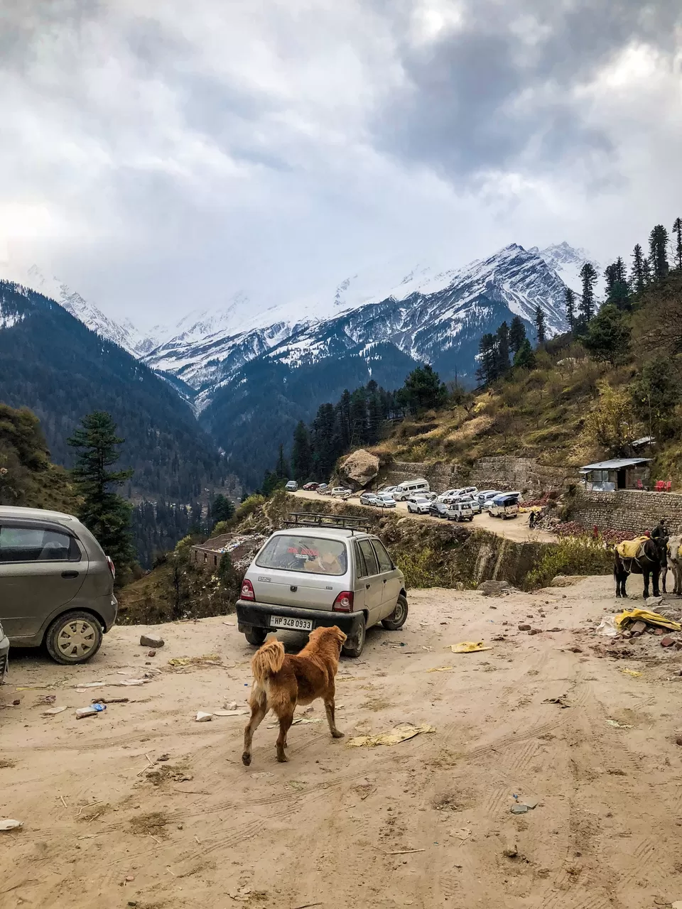 Photo of Tosh, Himachal Pradesh, India by Swati Chaturvedi