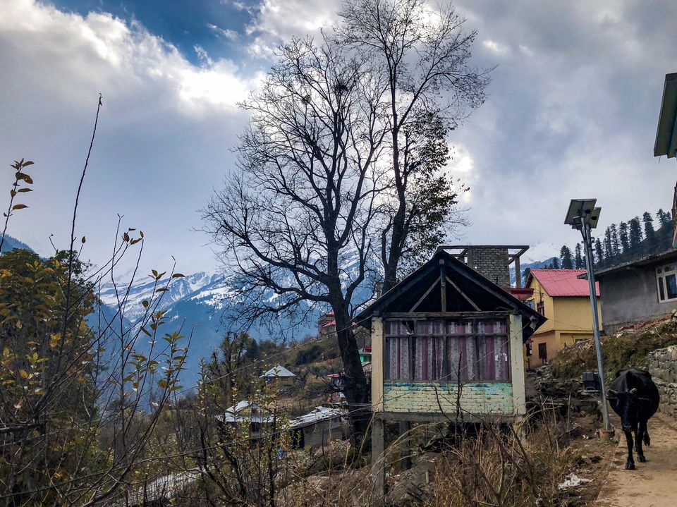 Photo of Tosh, Paradise Explored #mytraveldiaries by Swati Chaturvedi