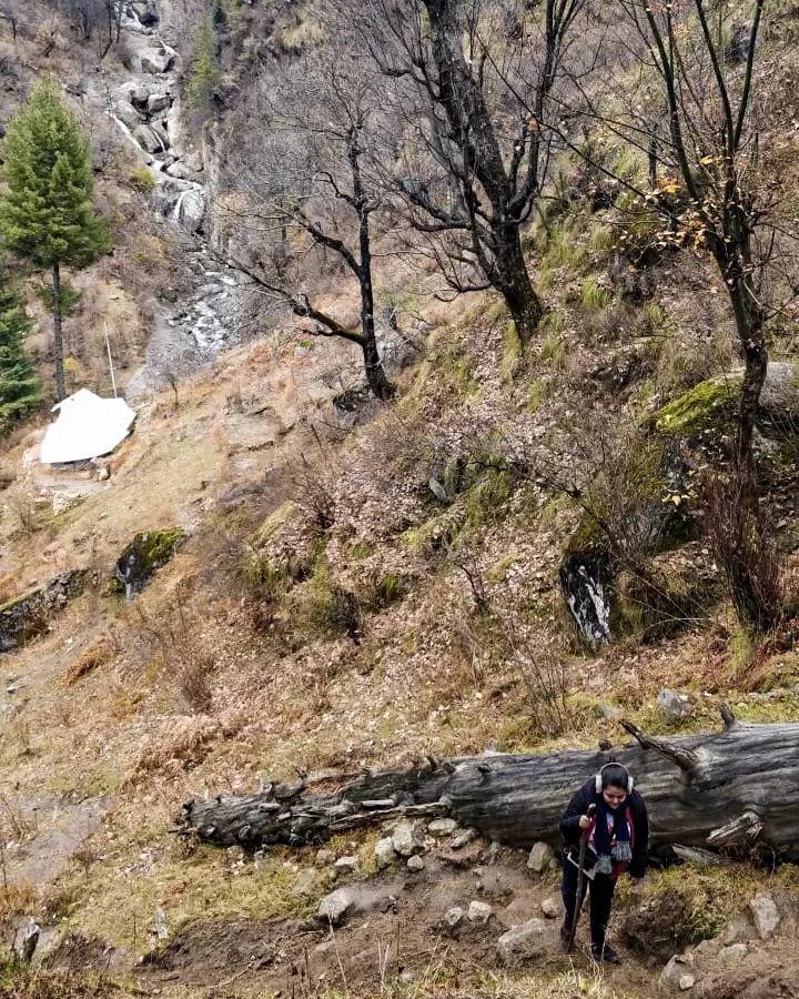 Photo of Tosh, Paradise Explored #mytraveldiaries by Swati Chaturvedi