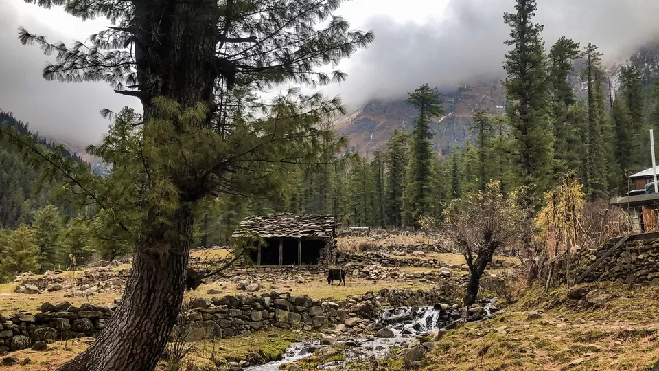 Photo of Tosh, Paradise Explored #mytraveldiaries by Swati Chaturvedi