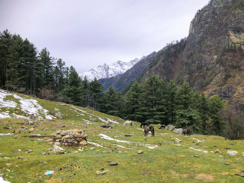 Photo of Read This Guide If You're Planning a Trip to Kheerganga! by Swati Chaturvedi