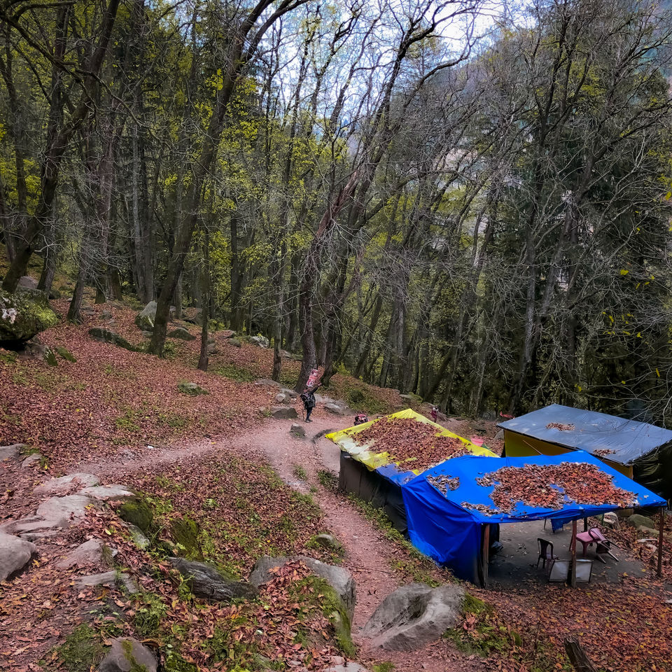 Photo of Read This Guide If You're Planning a Trip to Kheerganga! 12/13 by Swati Chaturvedi