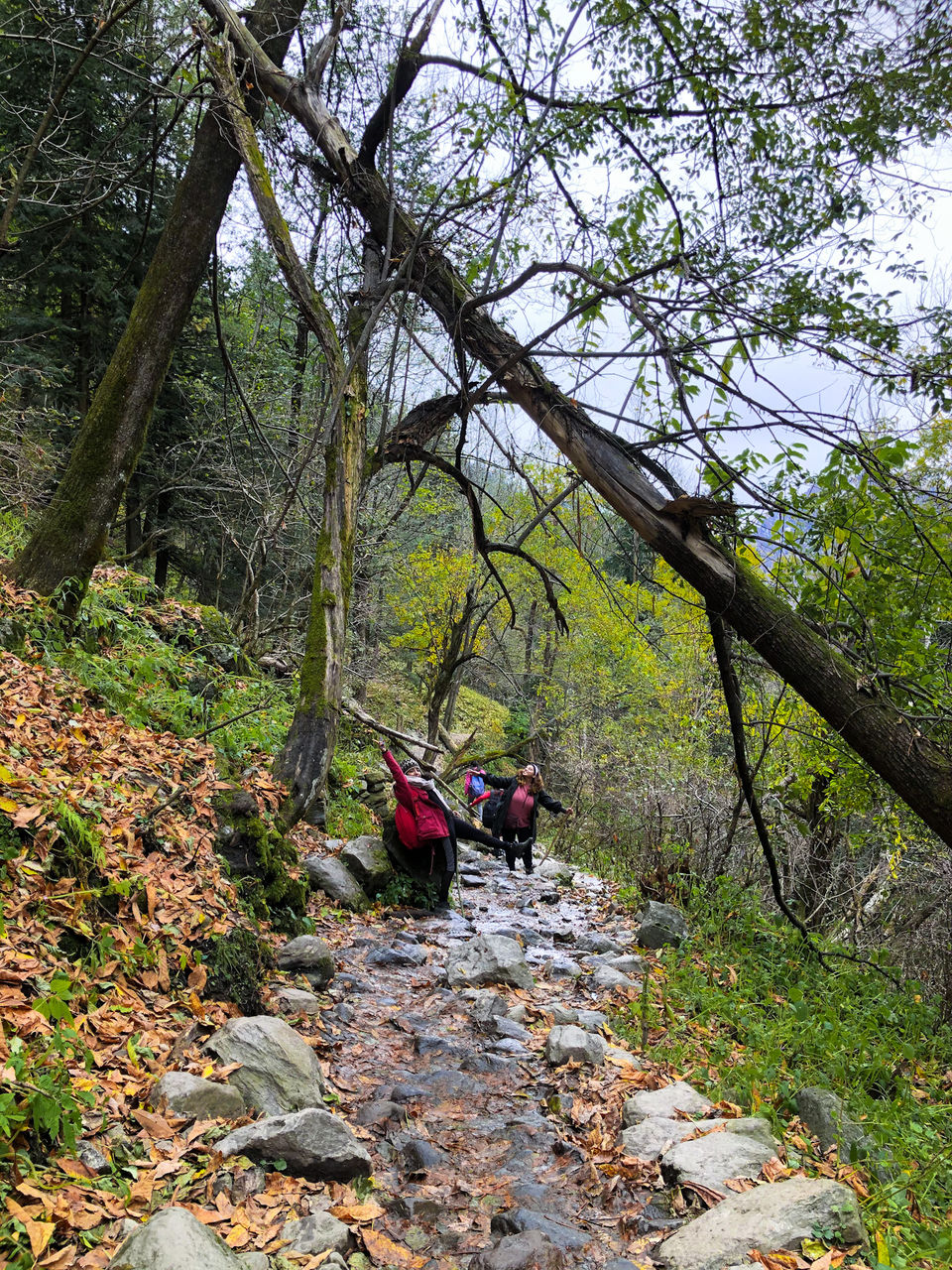 Photo of Read This Guide If You're Planning a Trip to Kheerganga! 11/13 by Swati Chaturvedi