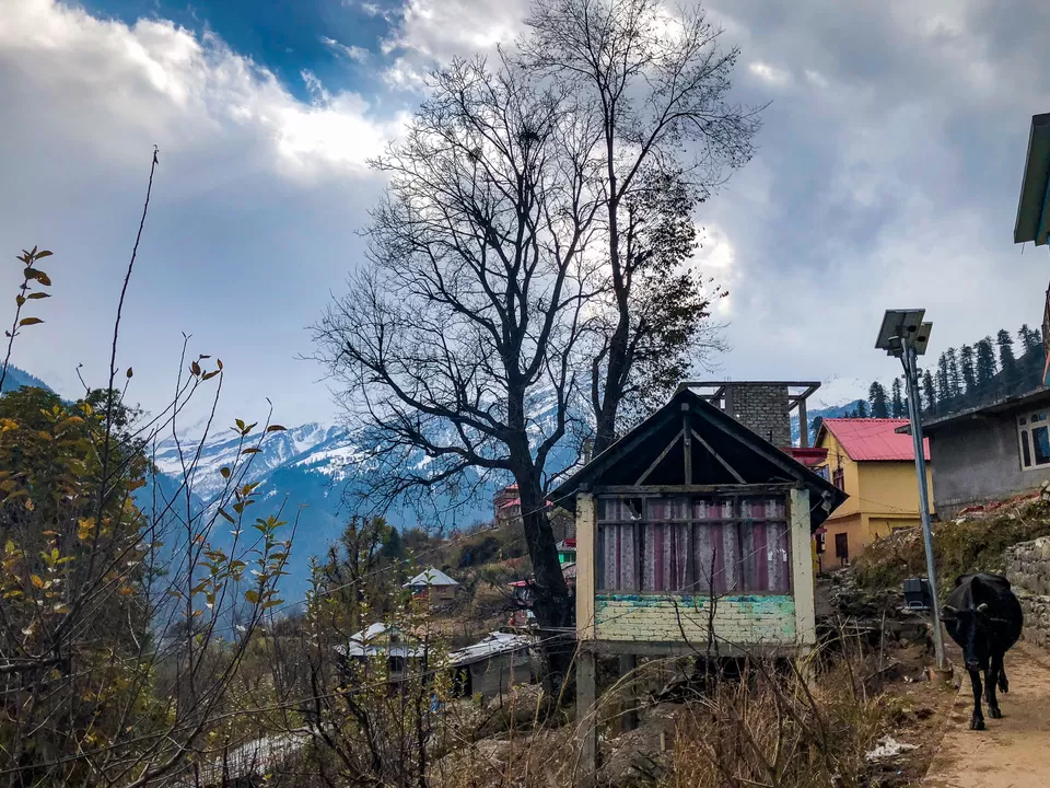Photo of Tosh, Paradise Explored #mytraveldiaries by Swati Chaturvedi