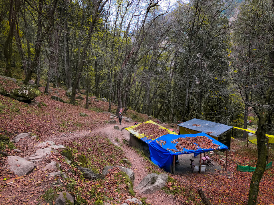 Photo of Kheerganga Trek, Khir Ganga, Himachal Pradesh, India by Swati Chaturvedi