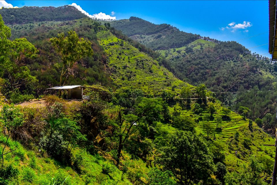 Photo of Palampur, Himachal Pradesh, India by Radhika Sharma