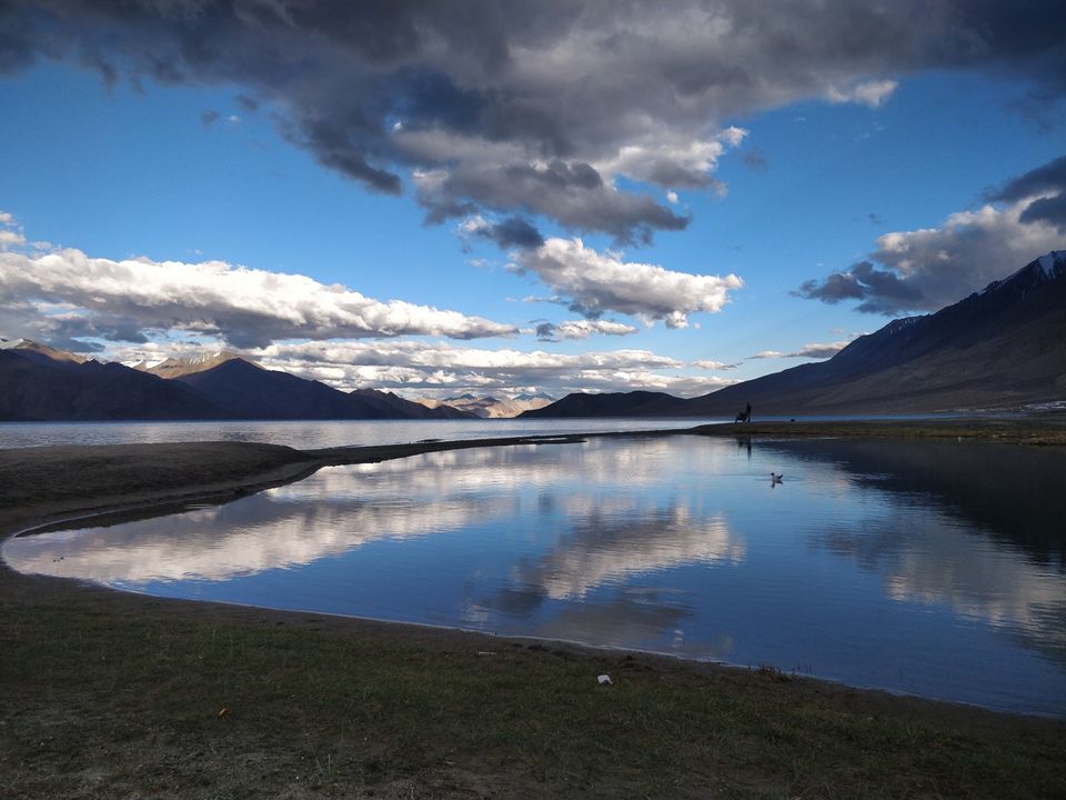 Photo of Pangong Tso by Swagata Nath