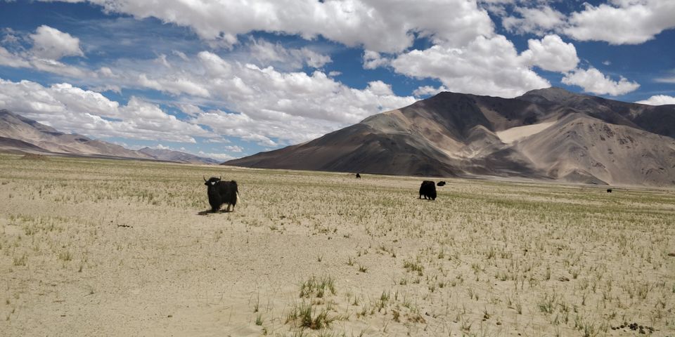 Photo of Leh Ladakh from Manali - 8D/7N by Swagata Nath