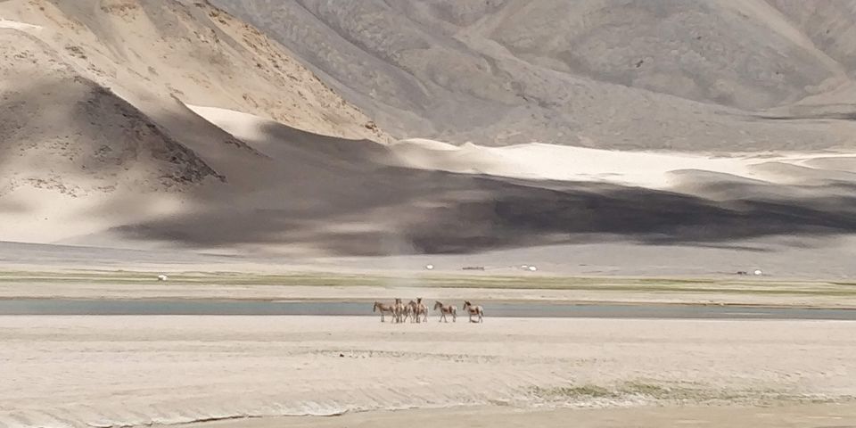 Photo of Leh Ladakh from Manali - 8D/7N by Swagata Nath