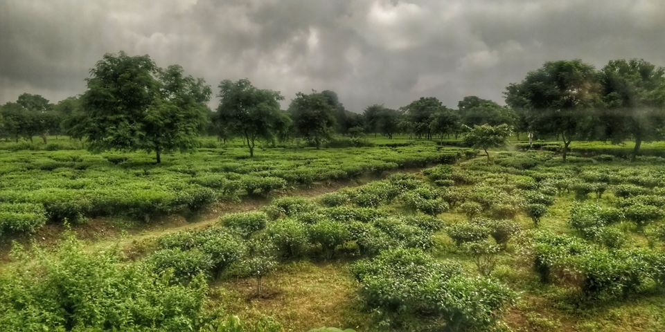 Photo of Hasimara, West Bengal, India by Swagata Nath