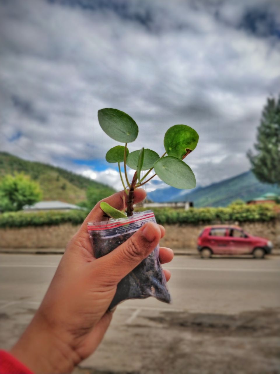 Photo of Bhutan - Thimphu, Punakha, Paro in 6D/5N by Swagata Nath