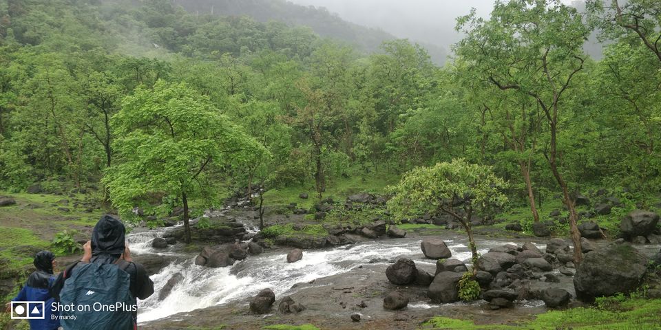 Photo of BHIMASHANKAR TREK VIA SHIDI GHAT #maharashtratreks #monsoonplace by Yagni sairam