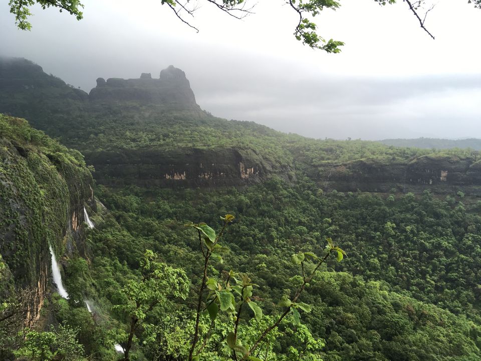 Photo of BHIMASHANKAR TREK VIA SHIDI GHAT #maharashtratreks #monsoonplace by Yagni sairam