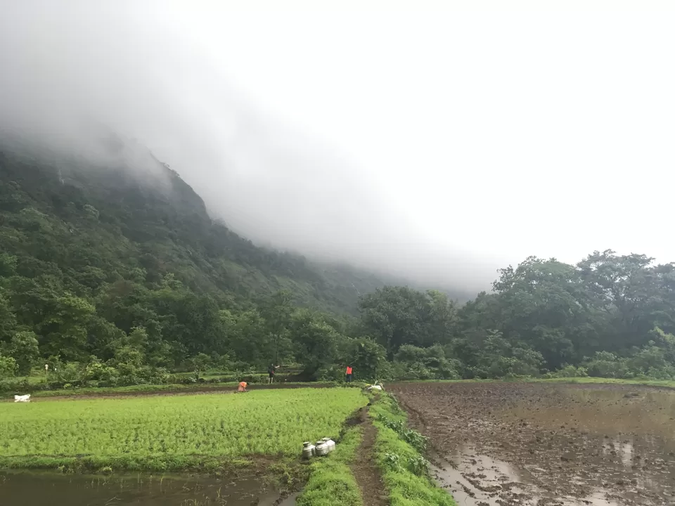 Photo of Padarwadi, Maharashtra, India by Sash travel diaries