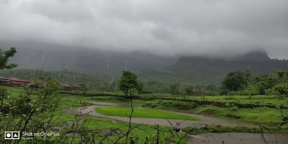 Photo of Padarwadi, Maharashtra, India by Sash travel diaries