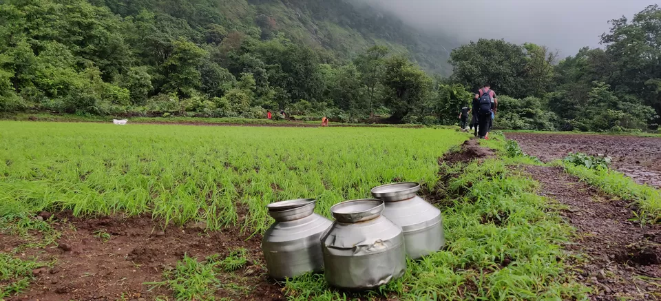 Photo of Padarwadi, Maharashtra, India by Sash travel diaries