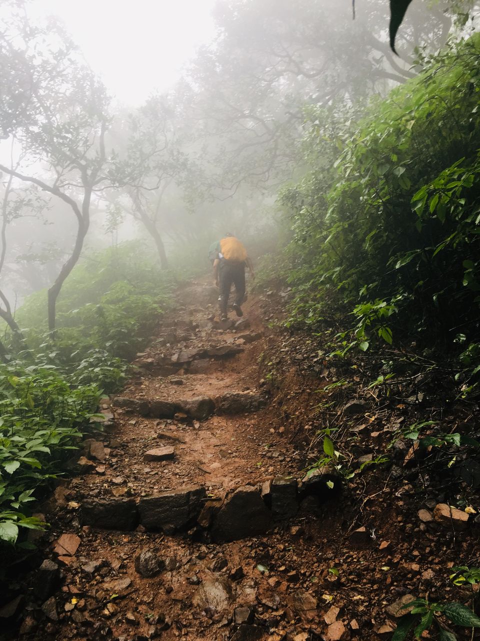 Photo of Padarwadi, Maharashtra, India by Yagni sairam