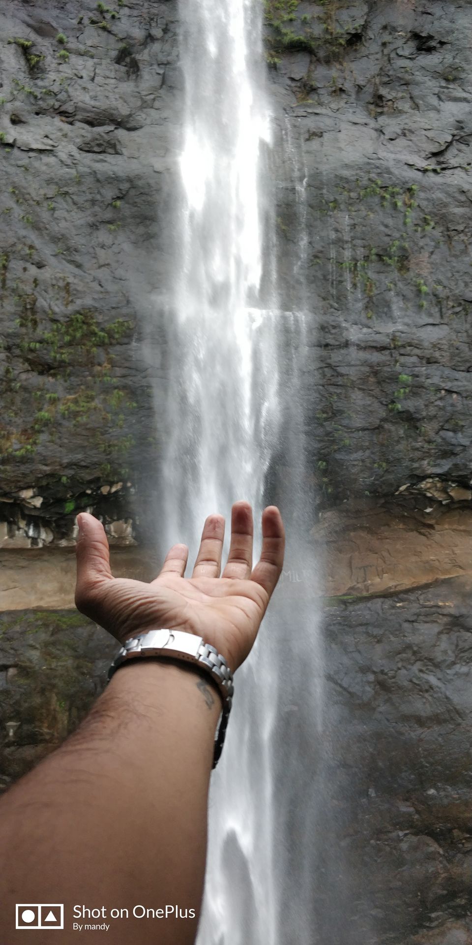 Photo of BHIMASHANKAR TREK VIA SHIDI GHAT #maharashtratreks #monsoonplace by Yagni sairam