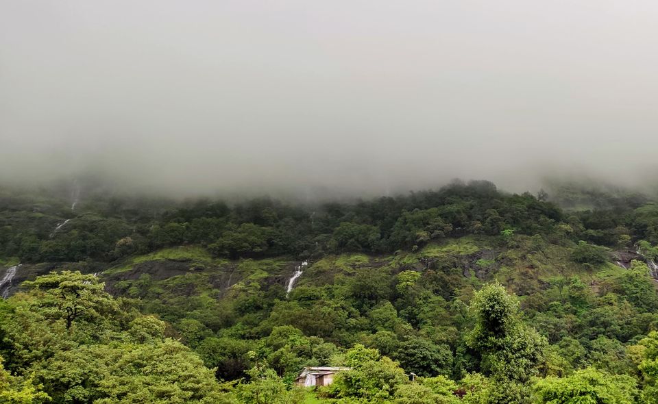 Photo of BHIMASHANKAR TREK VIA SHIDI GHAT #maharashtratreks #monsoonplace by Sash travel diaries