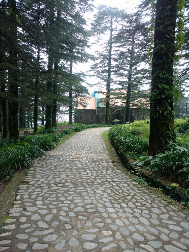 Photo of Mcleodganj and Dharamshala - The Hidden Greens In The Himalayas by Rucha S Khot