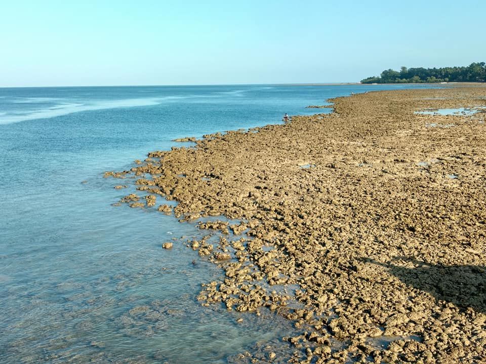 Photo of Havelock Island, South Andaman, Andaman and Nicobar Islands, India by Rucha S Khot
