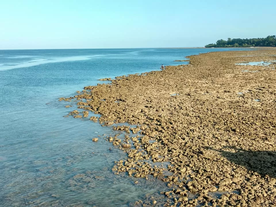 Photo of Havelock Island, South Andaman, Andaman and Nicobar Islands, India by Rucha S Khot