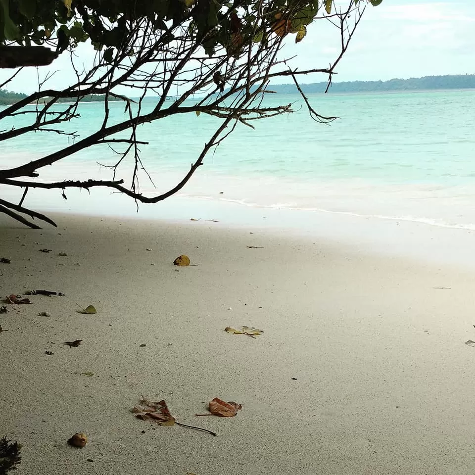Photo of Elephant Beach, South Andaman, Andaman and Nicobar Islands, India by Rucha S Khot