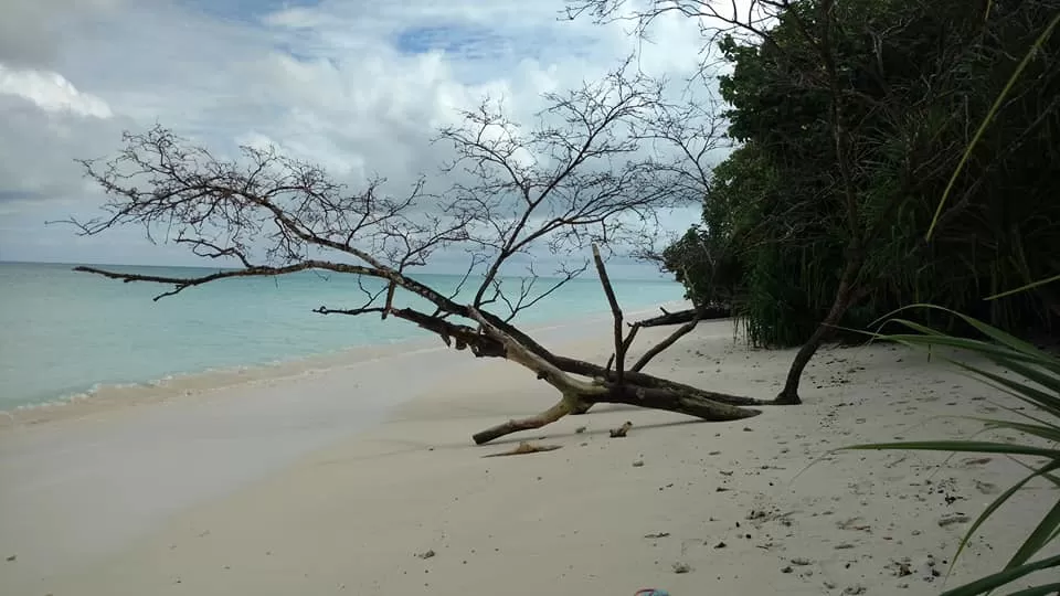 Photo of Andaman and Nicobar - The Islands of Joy and Serenity by Rucha S Khot