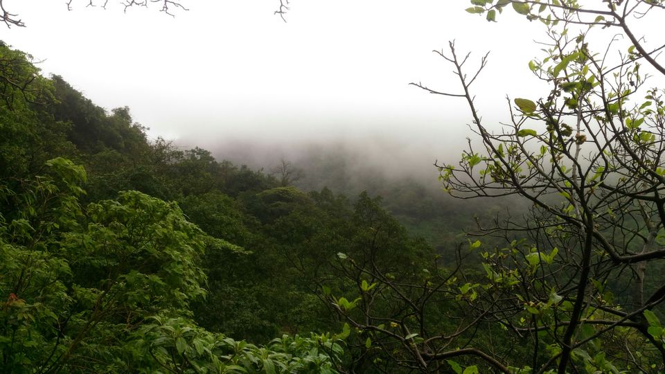 Photo of Tamhini Ghat Waterfall, Pune, Maharashtra, India by Aishwarya Shrivastava