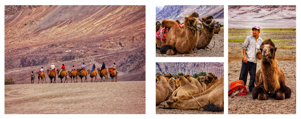 Photo of LADAKH - THROUGH MY LENS #bestof2018 7/17 by Vivek Patil