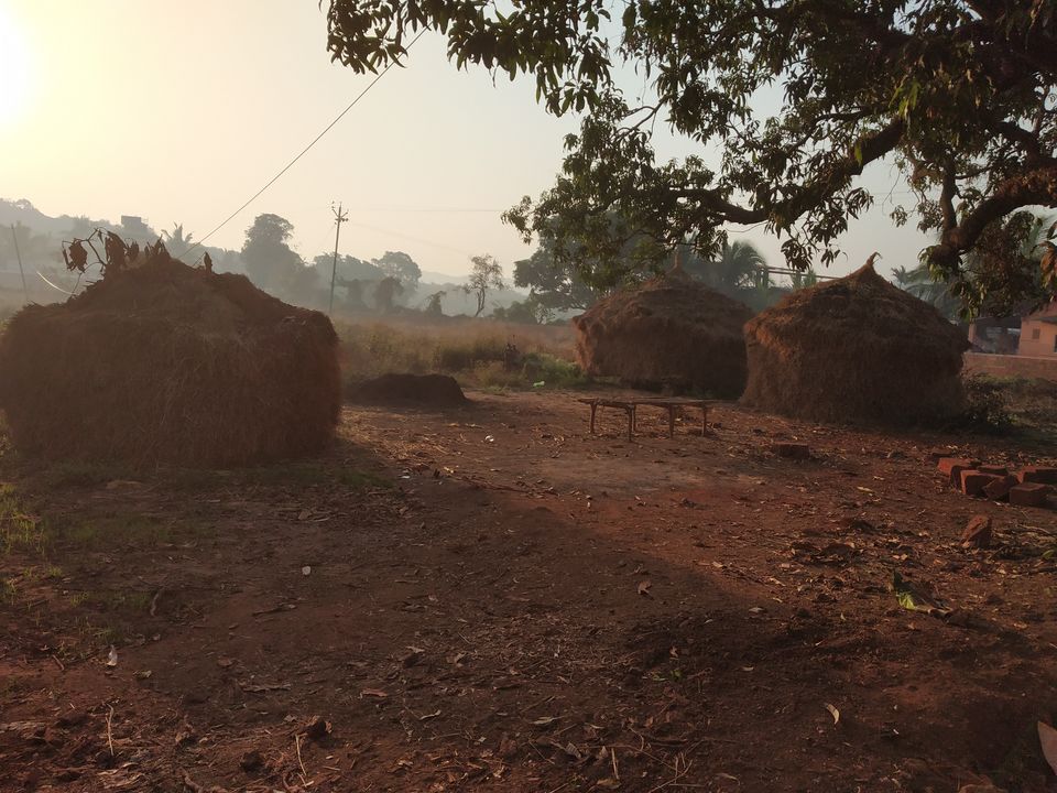 Photo of Weekend Gateway- Turtle Festival at Velas / Kelshi by Vivek Patil