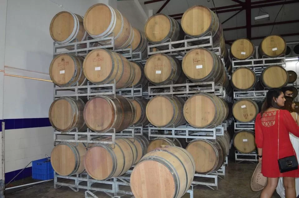 Photo of Sula Vineyards, Nashik, Maharashtra, India by kvshah