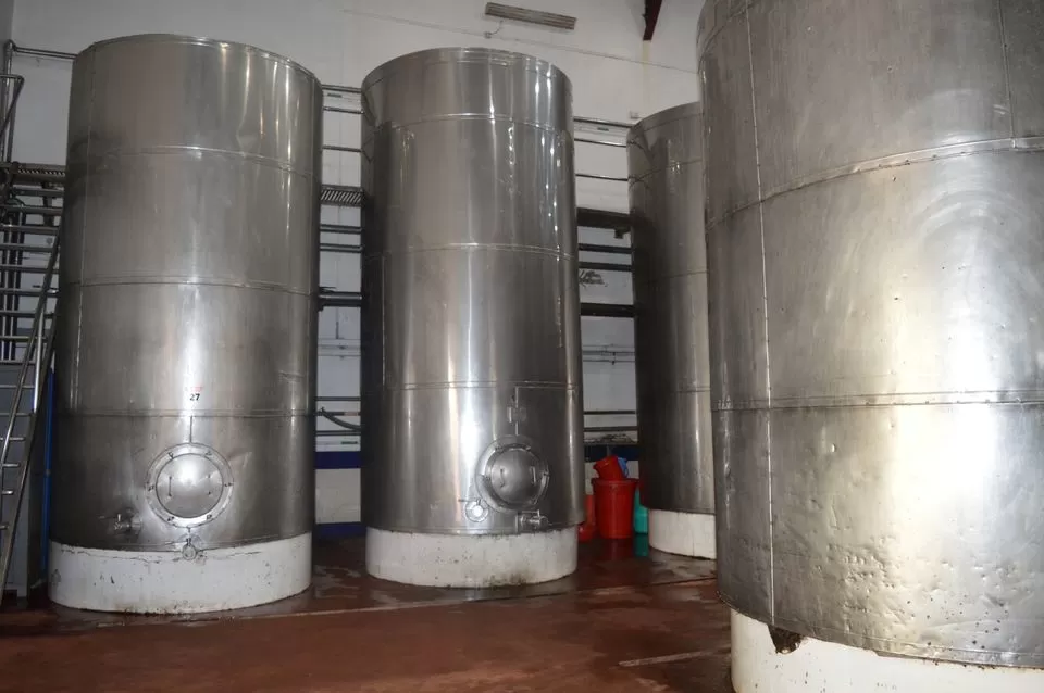 Photo of Sula Vineyards, Nashik, Maharashtra, India by kvshah